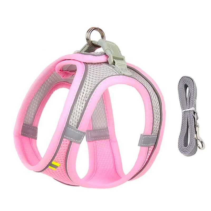 TrailLeash Pro™