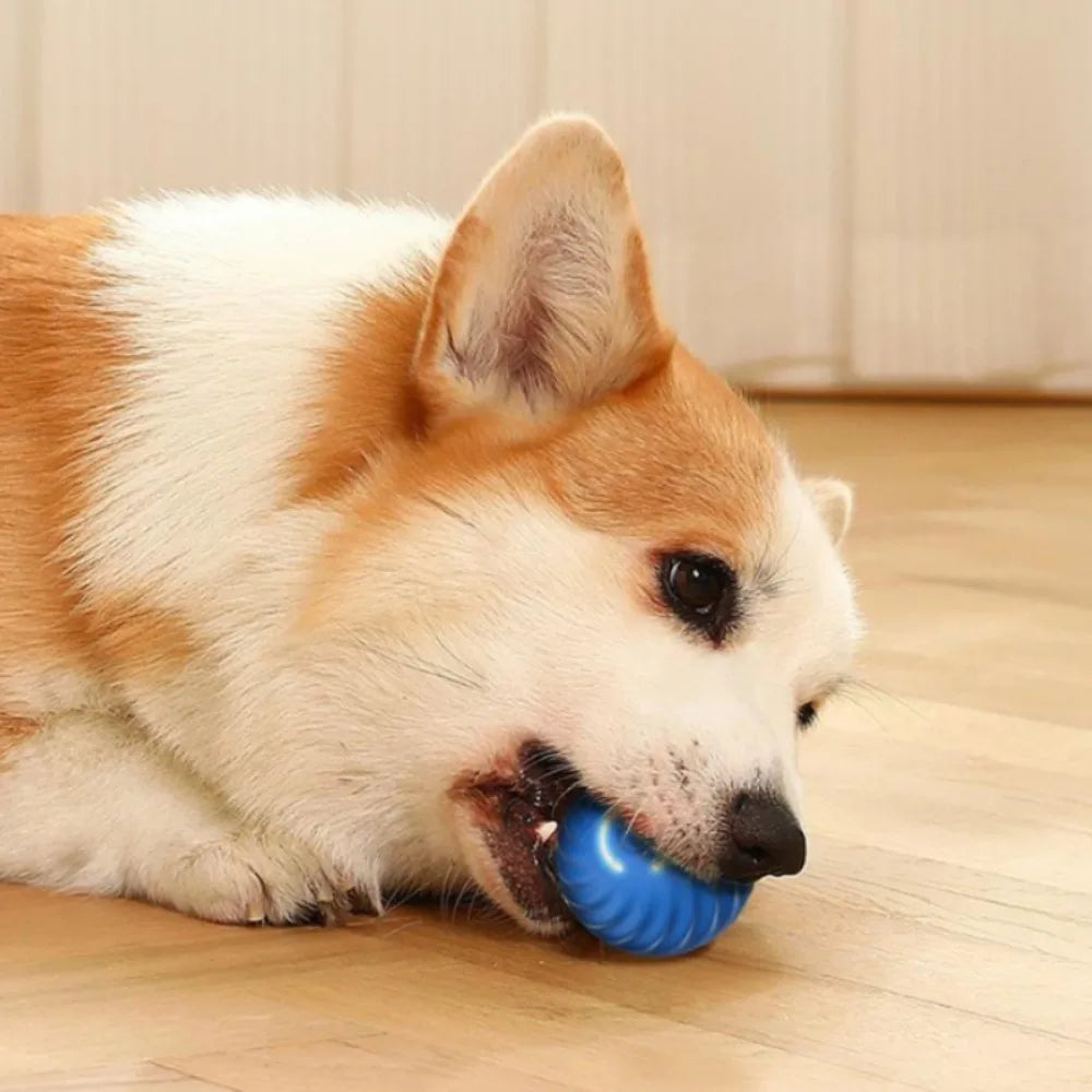 SmartBall Pet™
