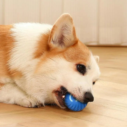 SmartBall Pet™