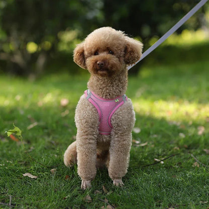 TrailLeash Pro™
