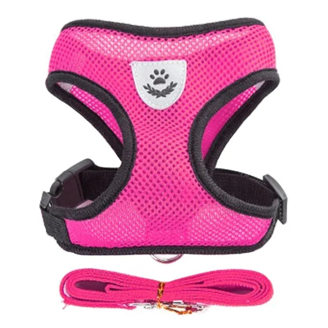Adjustable Cat & Dog Harness with Leash