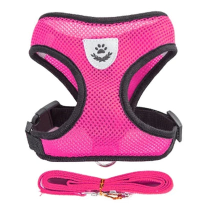 Adjustable Cat & Dog Harness with Leash