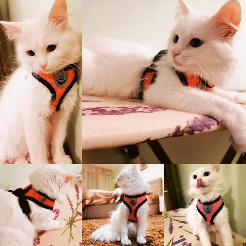 Adjustable Cat & Dog Harness with Leash