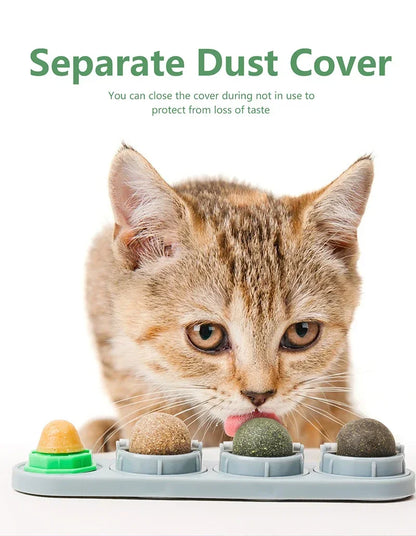 4-in-1 Rotating Catnip Wall Toy for Cats