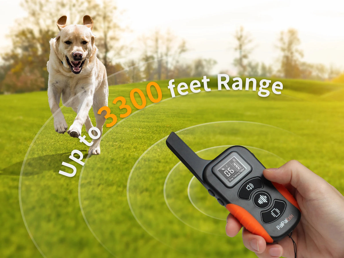 Dog Training E-Collar – 3200ft Range