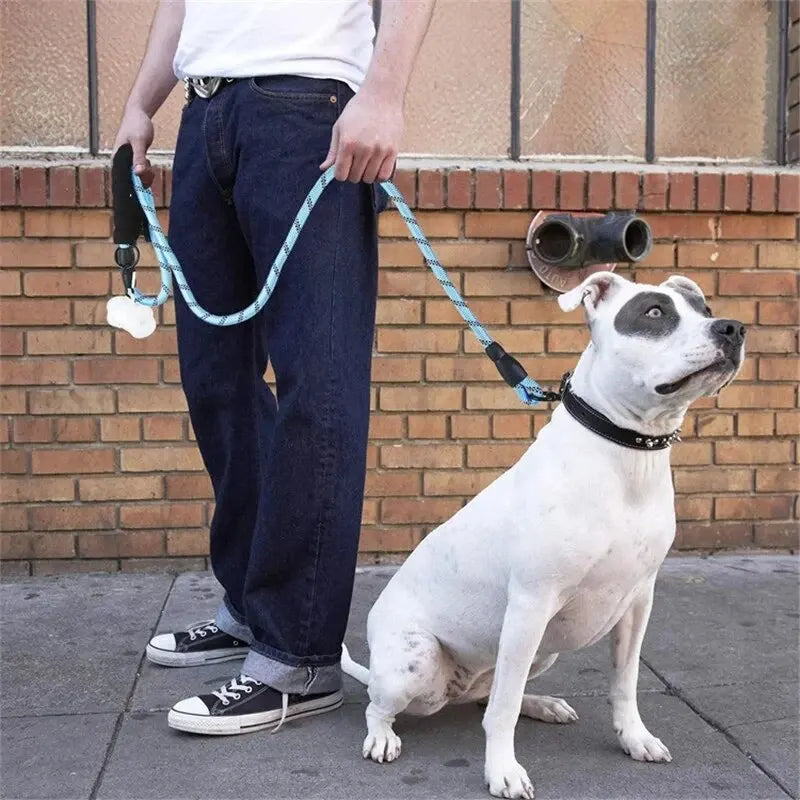 Heavy-Duty Reflective Dog Leash