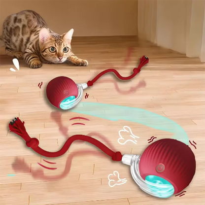 OrbitPet™