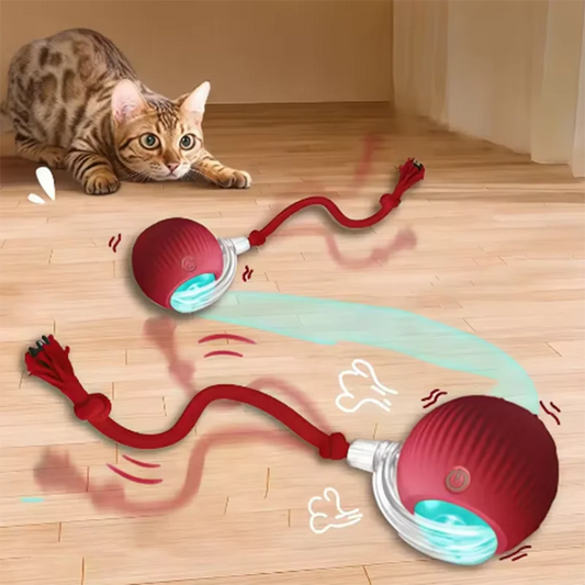 OrbitPet™