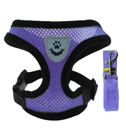 Adjustable Cat & Dog Harness with Leash