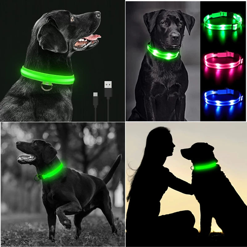 SafeGuard Muzzle™