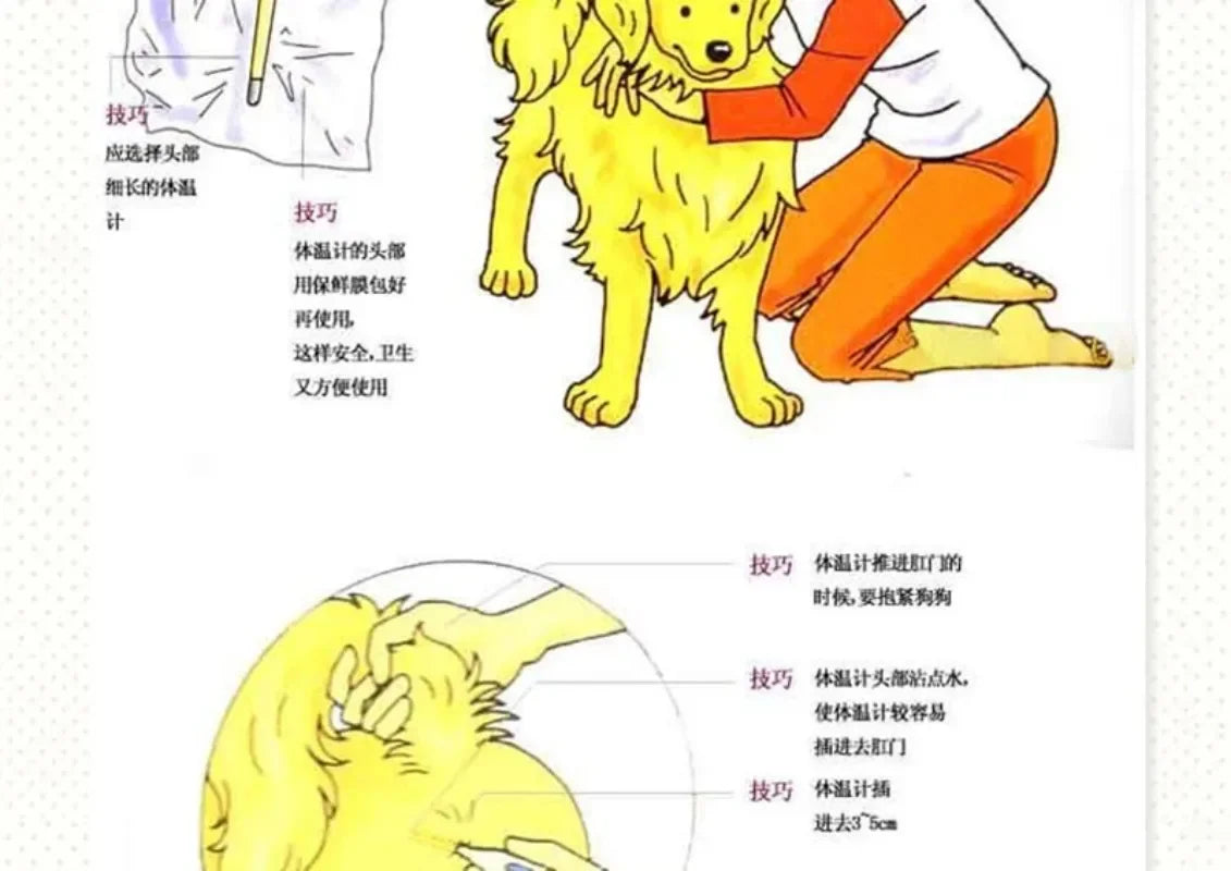 LED Pet Thermometer