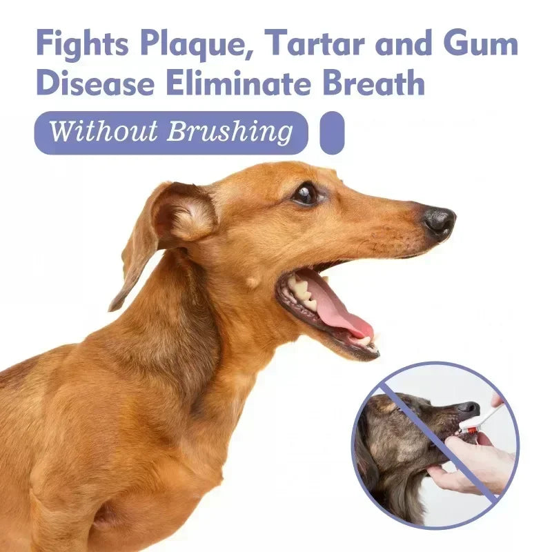 Pet Oral Spray — Fresh Breath & Clean Teeth