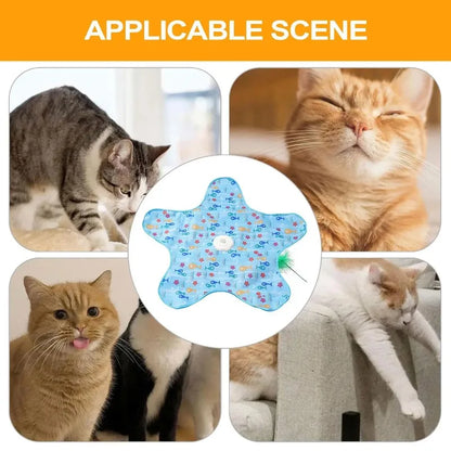Smart Hide & Seek Cat Toy with Feather Teaser