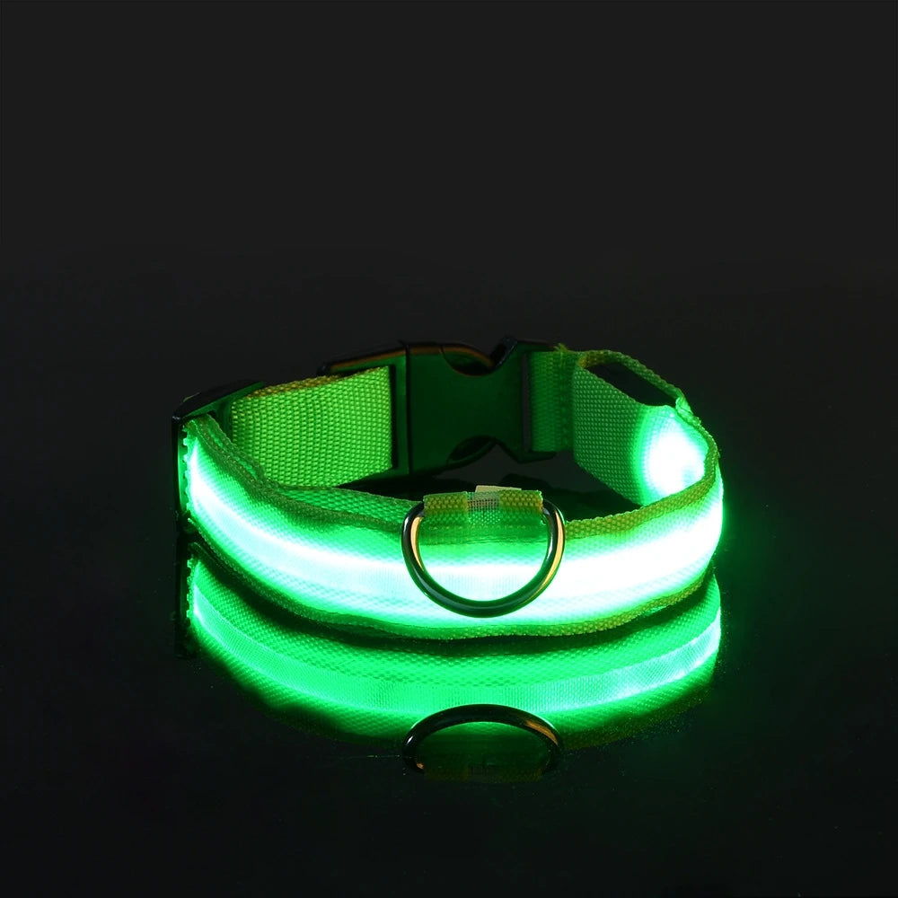 LED Glow Dog Collar & Leash