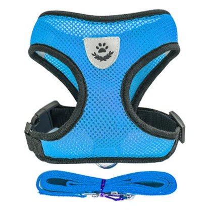 Adjustable Cat & Dog Harness with Leash