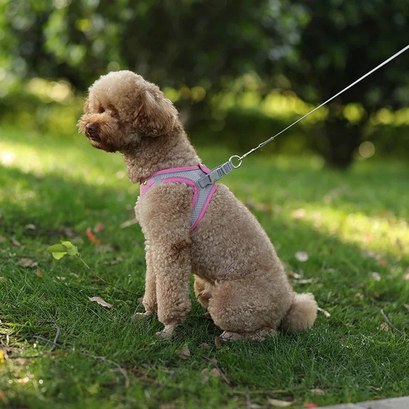 TrailLeash Pro™