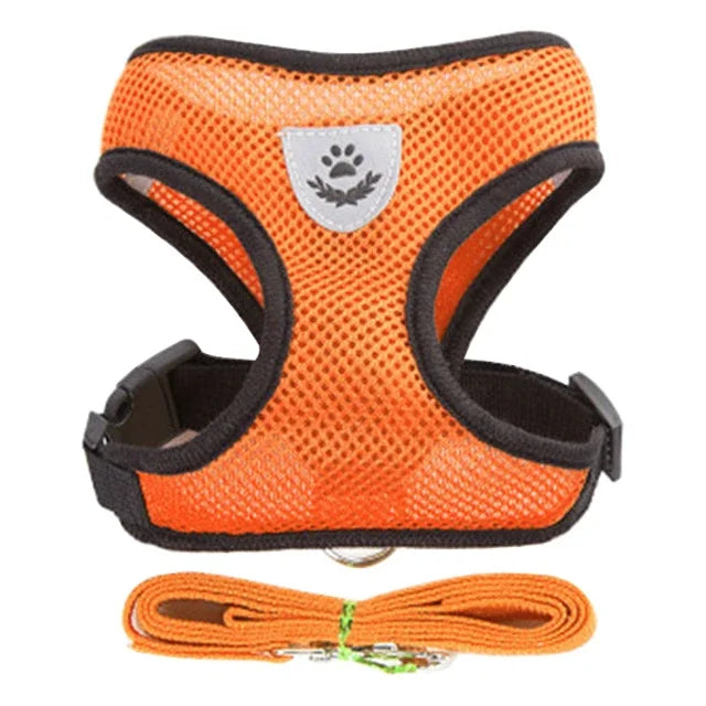 Adjustable Cat & Dog Harness with Leash
