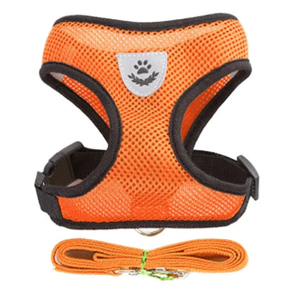 Adjustable Cat & Dog Harness with Leash