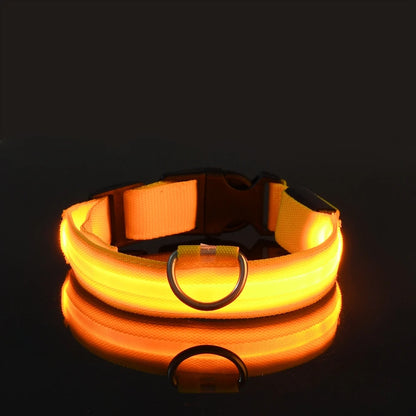 LED Glow Dog Collar & Leash
