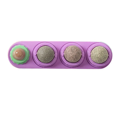 4-in-1 Rotating Catnip Wall Toy for Cats