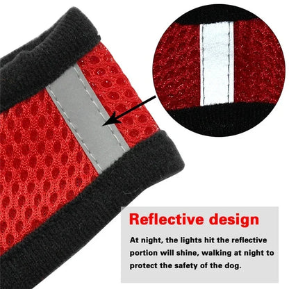Adjustable Cat & Dog Harness with Leash