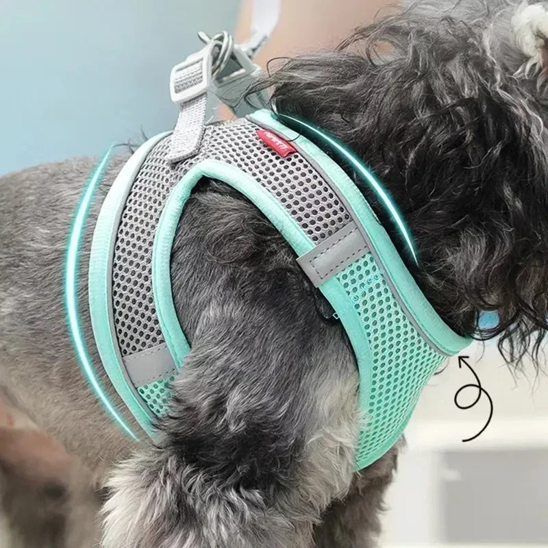 TrailLeash Pro™