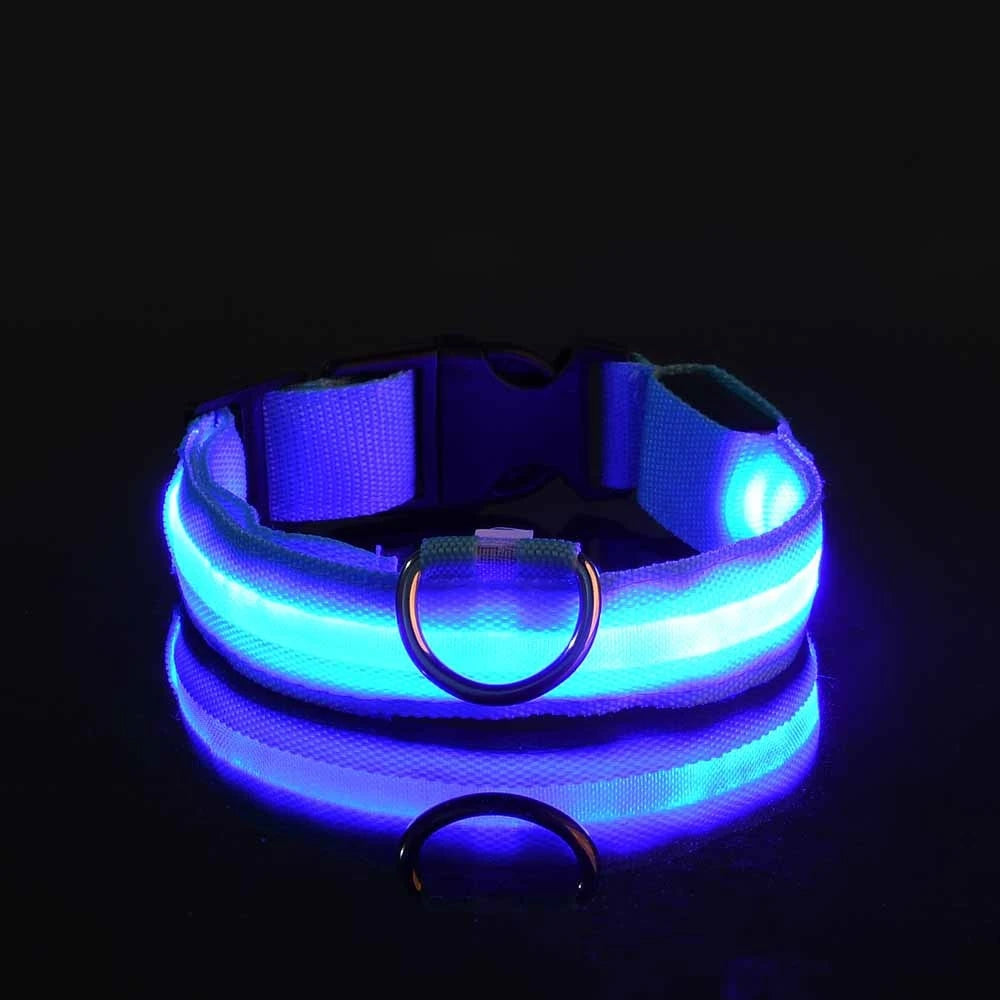 LED Glow Dog Collar & Leash