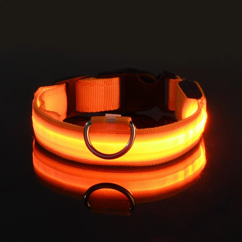 LED Glow Dog Collar & Leash