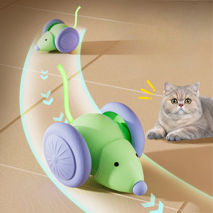 Electric Mouse Car Cat Toy