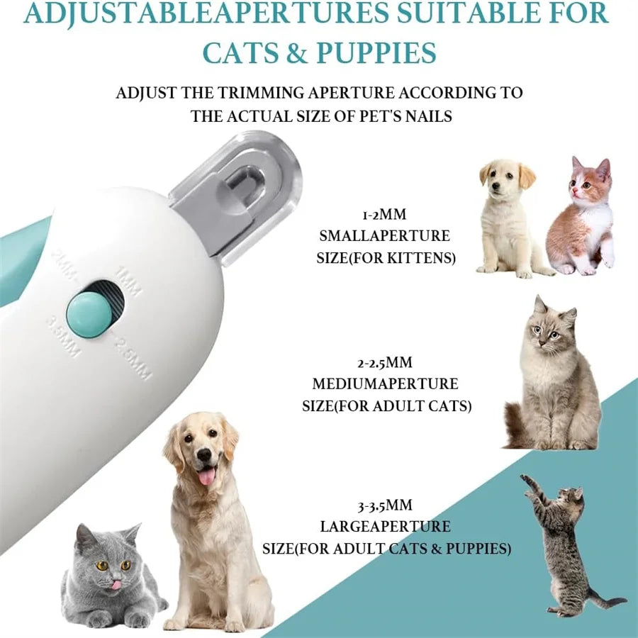 CatnipBall Pro™