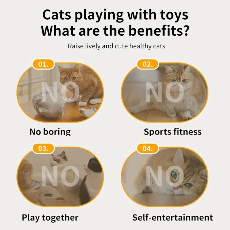 Smart Hide & Seek Cat Toy with Feather Teaser