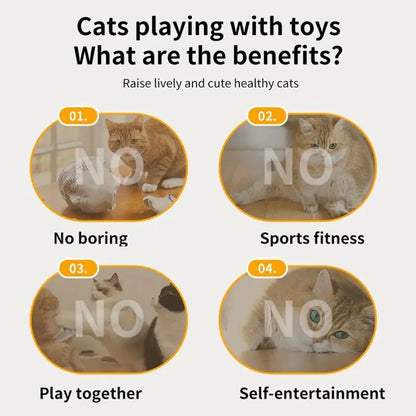 Smart Hide & Seek Cat Toy with Feather Teaser