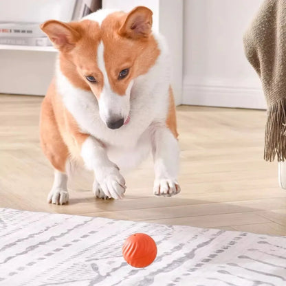 SmartBall Pet™