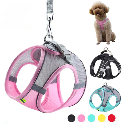 TrailLeash Pro™