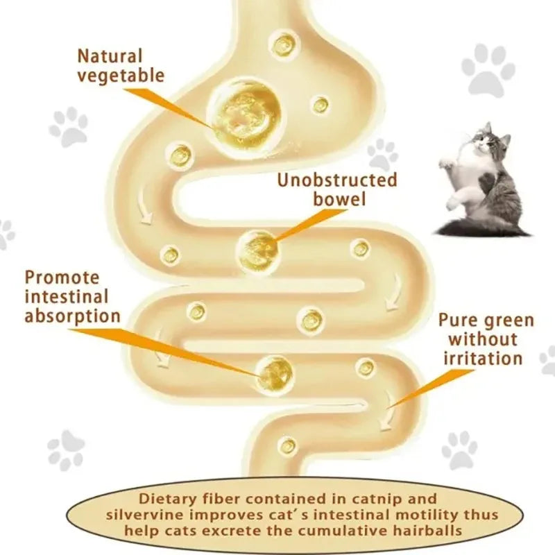 4-in-1 Rotating Catnip Wall Toy for Cats