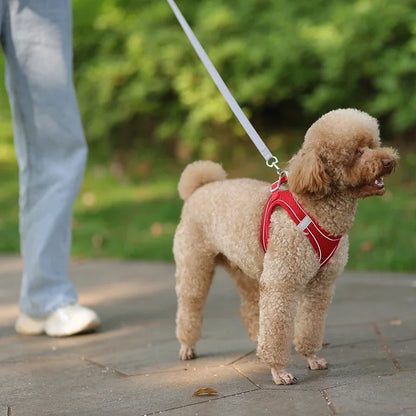 TrailLeash Pro™