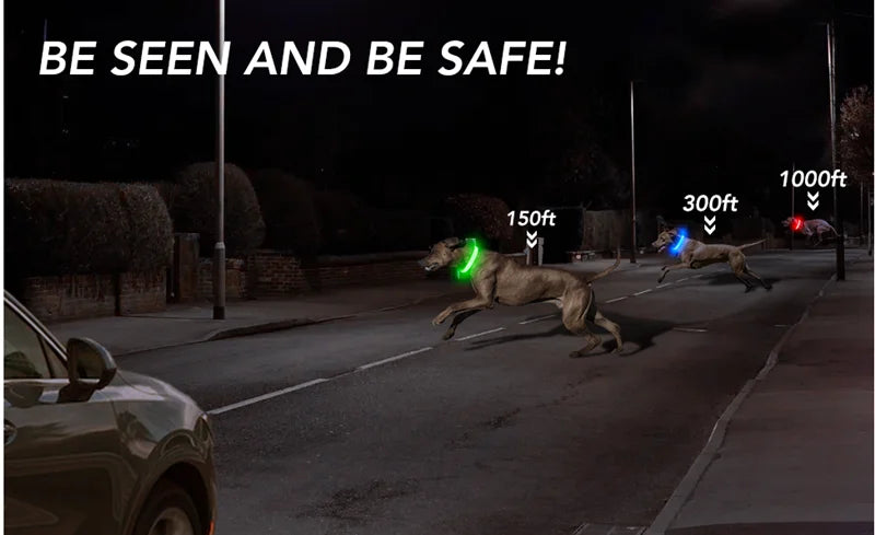 SafeGuard Muzzle™