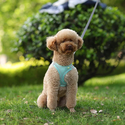 TrailLeash Pro™