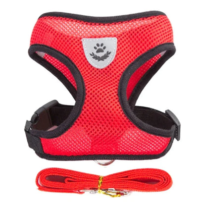 Adjustable Cat & Dog Harness with Leash