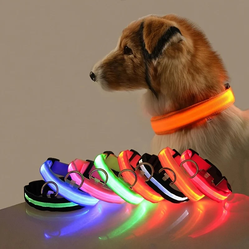 LED Glow Dog Collar & Leash