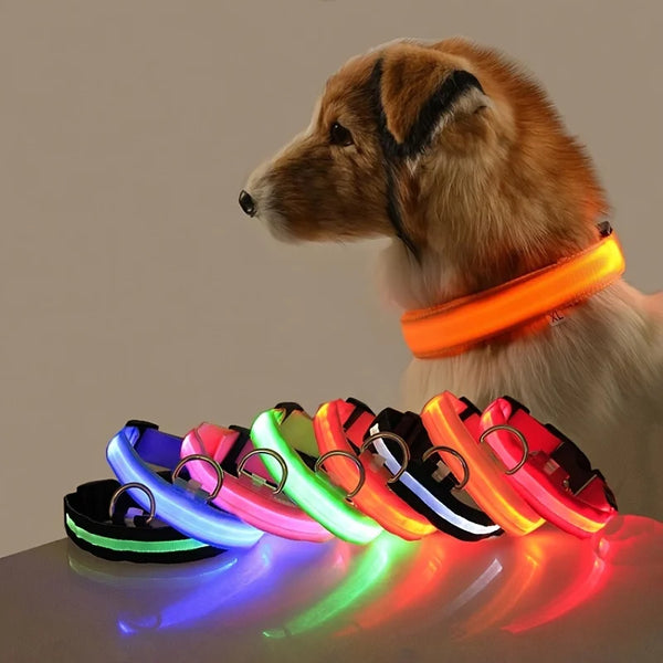 LED Glow Dog Collar & Leash