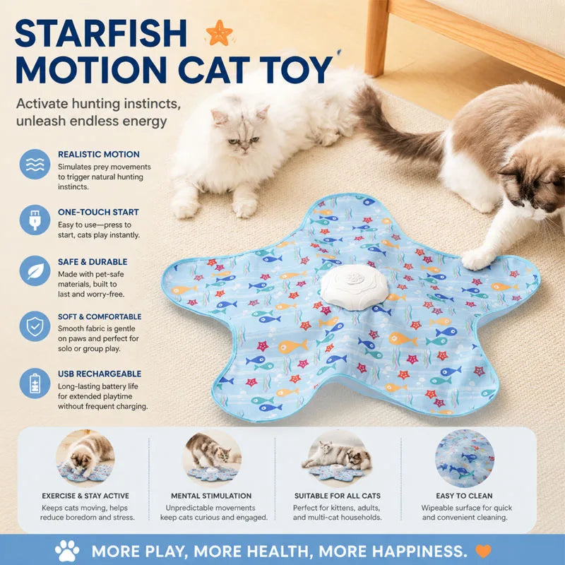 Smart Hide & Seek Cat Toy with Feather Teaser