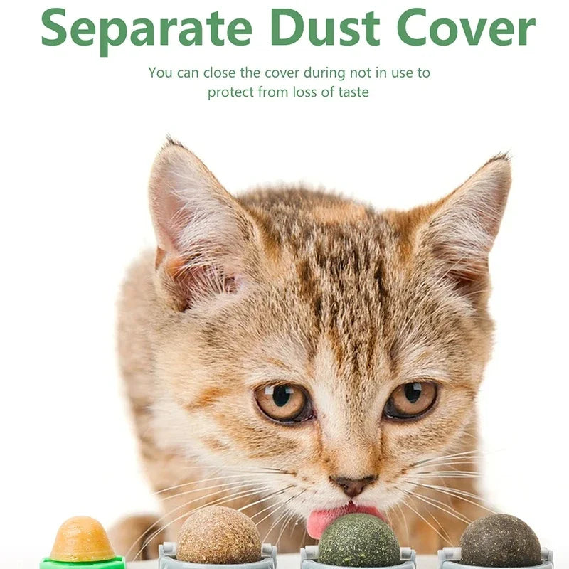 4-in-1 Rotating Catnip Wall Toy for Cats