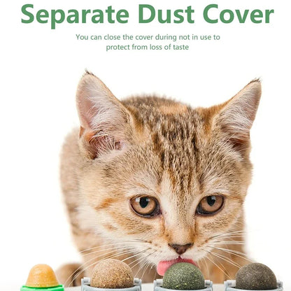 4-in-1 Rotating Catnip Wall Toy for Cats