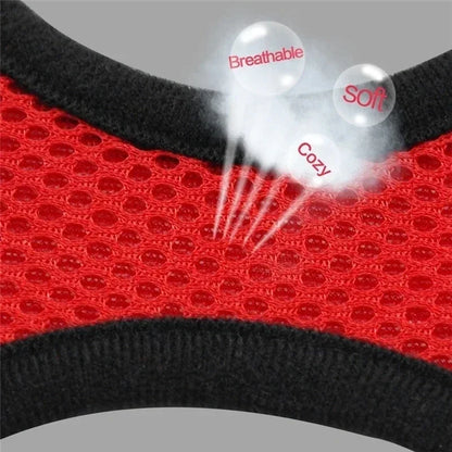 Adjustable Cat & Dog Harness with Leash
