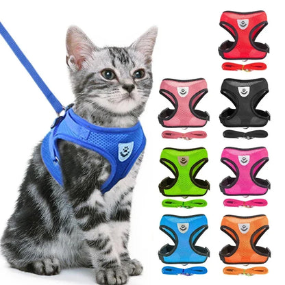 Adjustable Cat & Dog Harness with Leash
