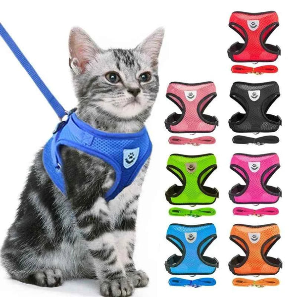 Adjustable Cat & Dog Harness with Leash