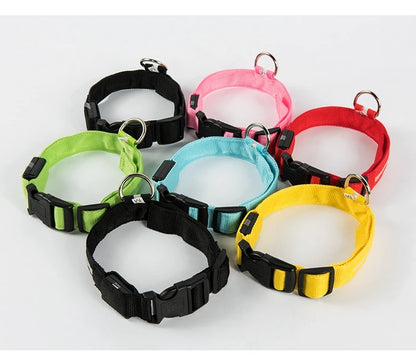 LED Glow Dog Collar & Leash