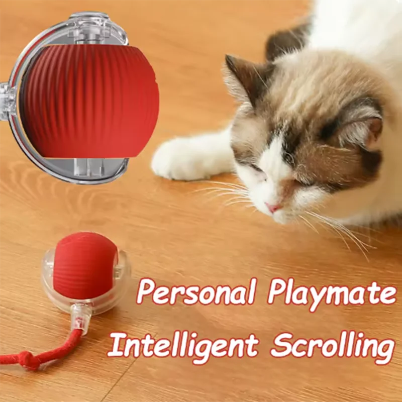 OrbitPet™