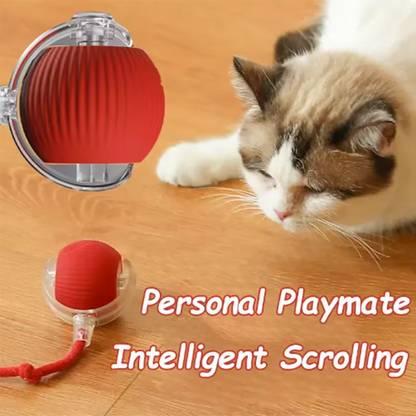 OrbitPet™